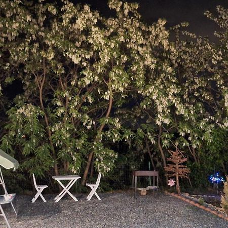 Cabana Oprisor 오크나 시비울루이 외부 사진